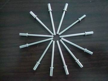 SUS304 SUS303 SUS316 प्रेसिजन दिया पार्ट्स / प्रेसिजन पिन भागों