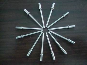 SUS304 SUS303 SUS316 प्रेसिजन दिया पार्ट्स / प्रेसिजन पिन भागों